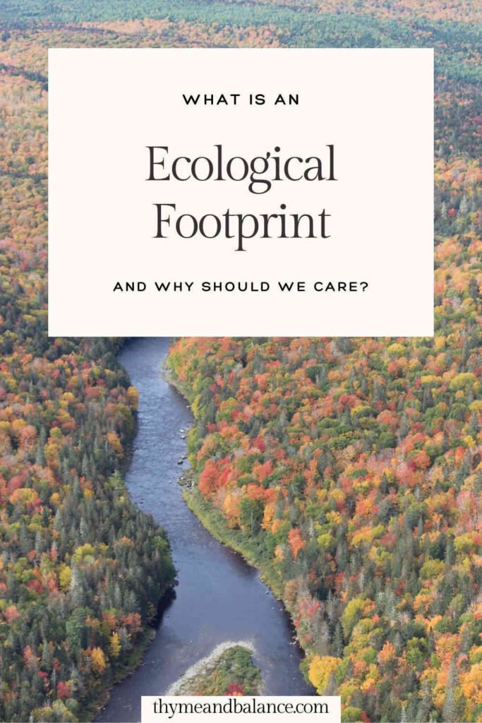 Picture of a river running through a forest in fall colours with text overlay saying What is an ecological footprint and why should we care