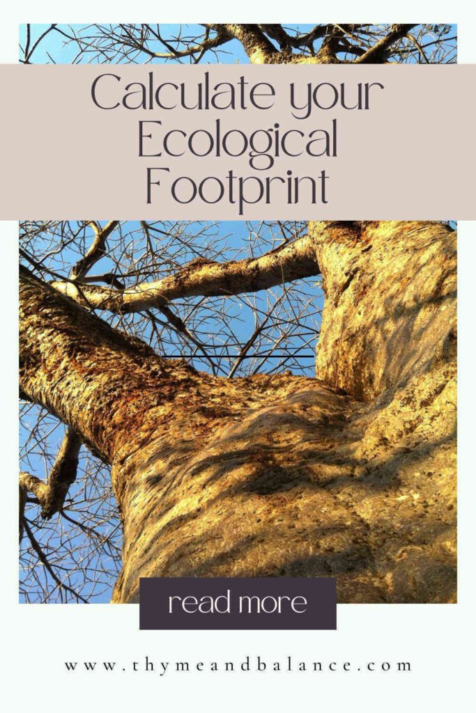 Picture of a baobab tree with text overlay titles calculate your ecological footprint