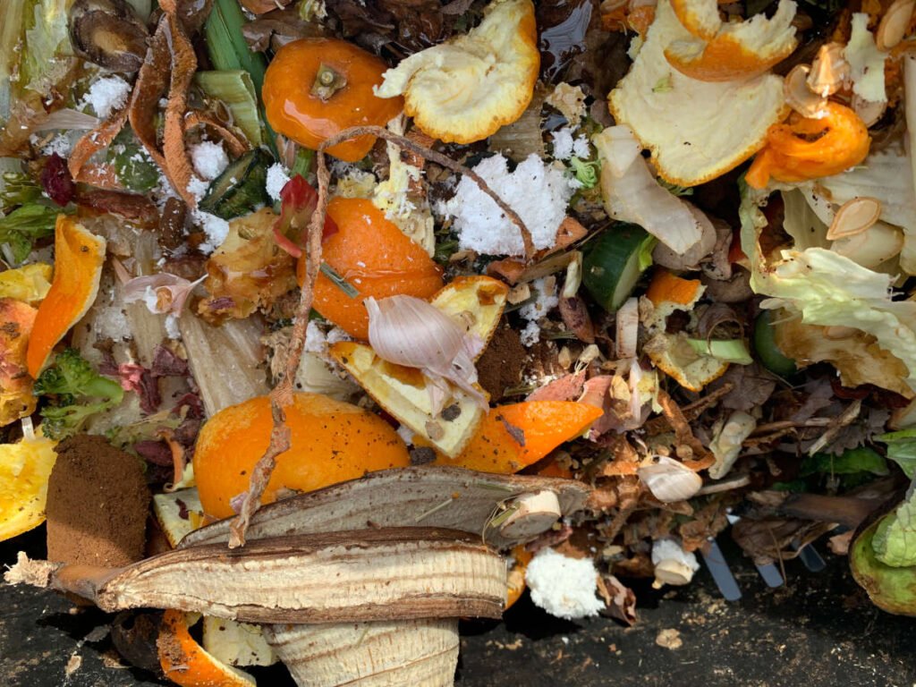 Kitchen scraps on a compost pile