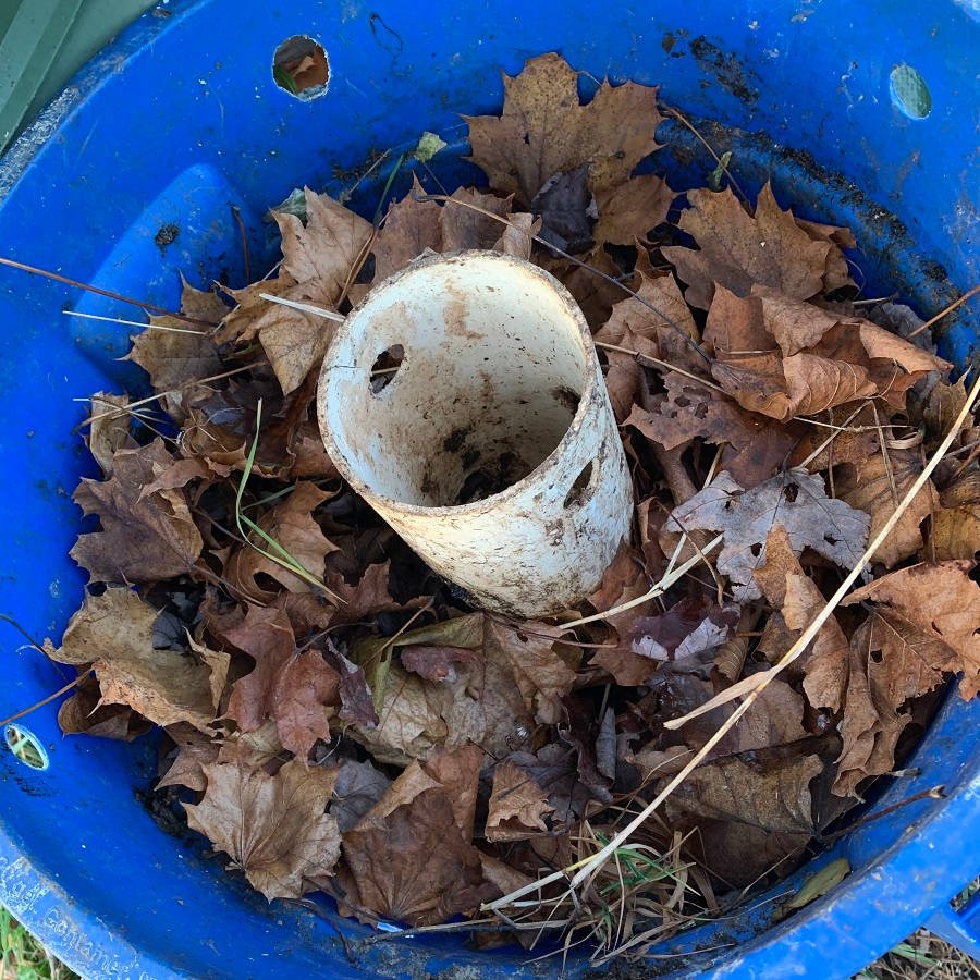 A layer of leaves on top of a layer of compost in a blue bin