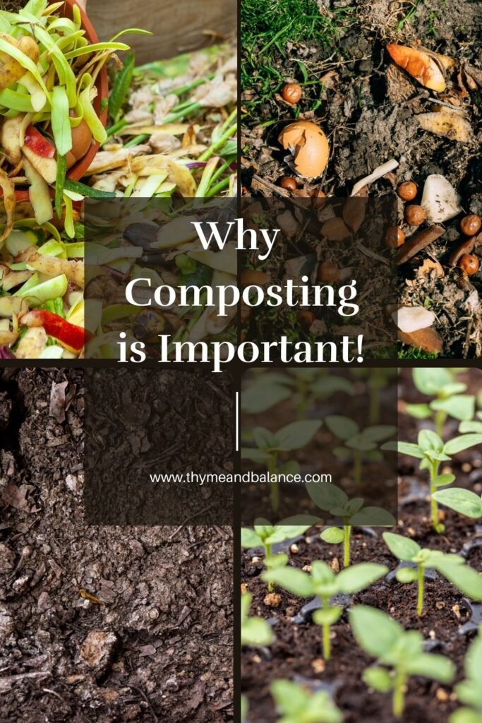 A poster showing different stages of composting with the text "Why composting is important!"