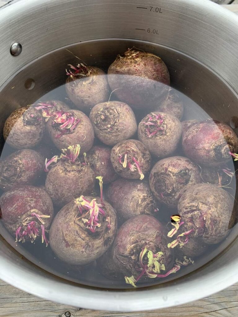 Beetroot in a pot of water. Make sure all the beets are covered.