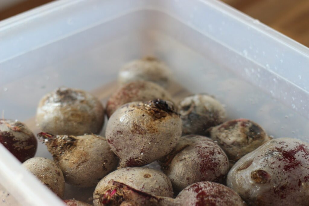 Beetroot siitting in a container with water to be washed before they are being boiled.