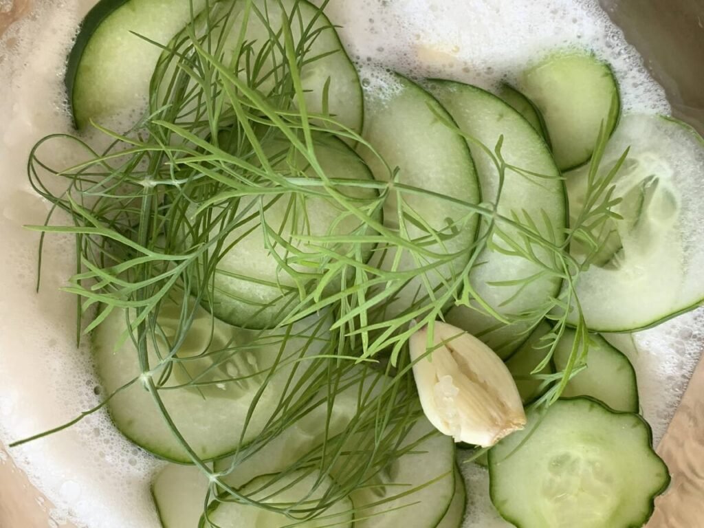 Top view into a jar of pickles with fennel and garlic lying on top of some sliced cucumbers. Part of the mixing and preparation process.