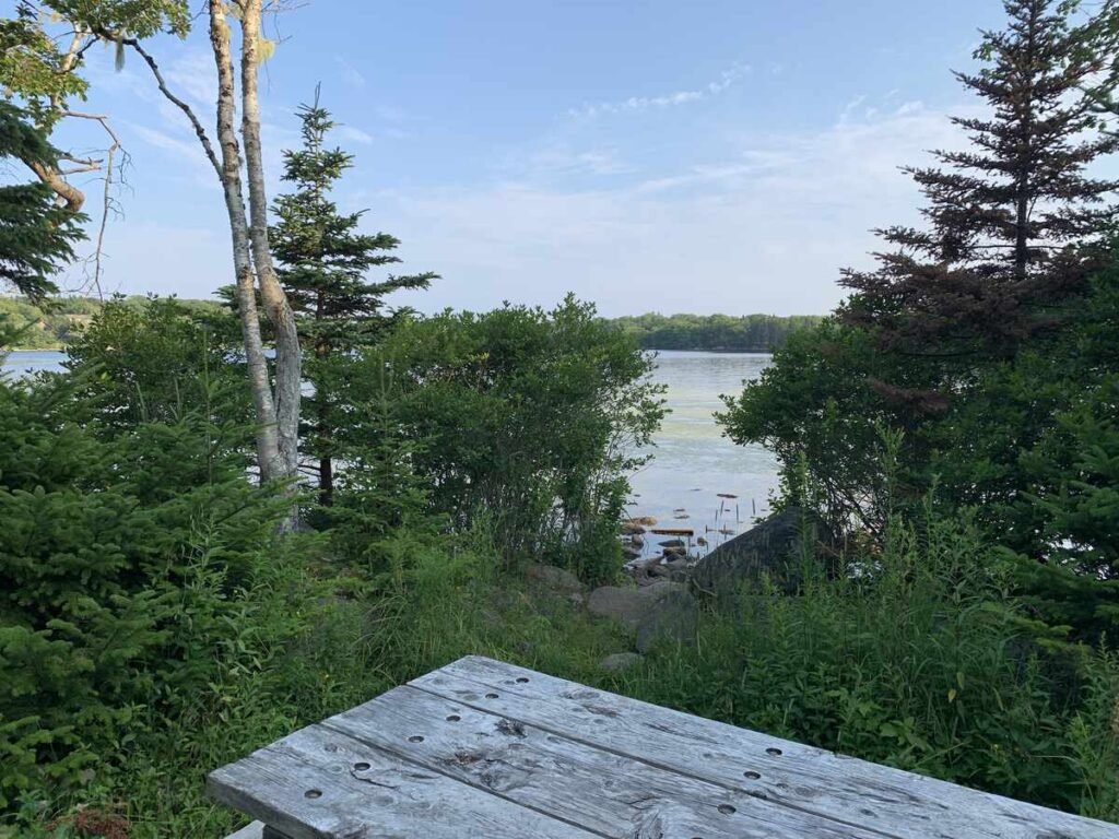 a picnic bench next to a lake, surrounded by trees