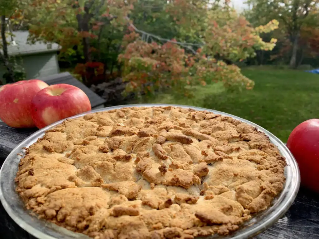 Dish of apple pie with fresh apples and fall leaves in the background.